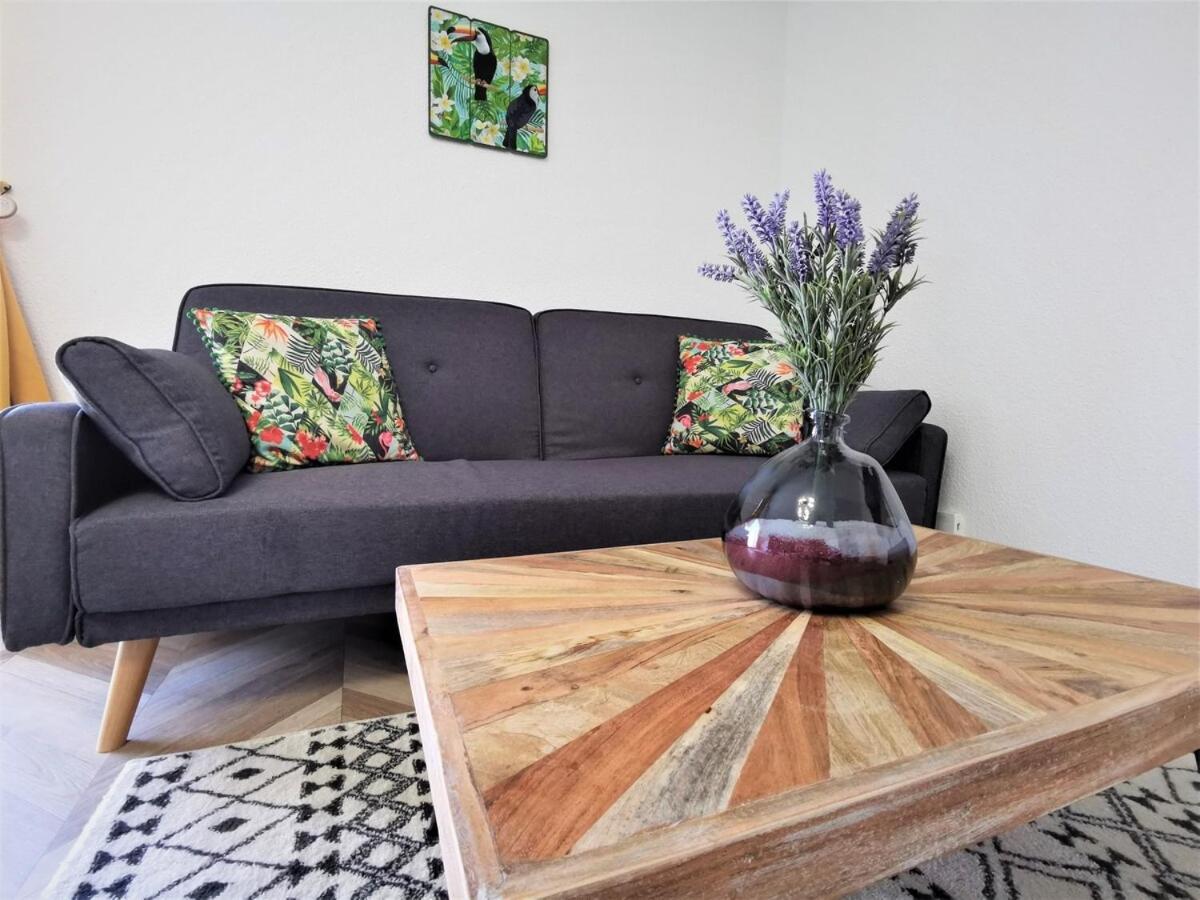 T2 Cosy ₪ Residence Securise ₪ Airbus ₪ Piscine Colomiers Ngoại thất bức ảnh